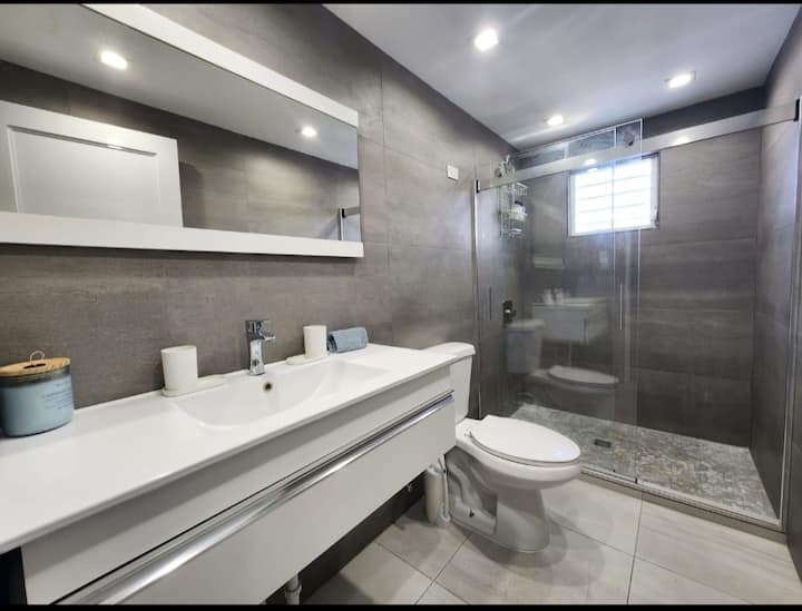Modern grey bathroom with glass shower at Isabela Escape House